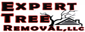 expert tree removal prospect ct