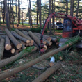 property clearing ct